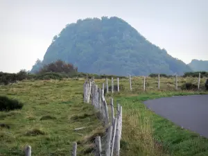 Regionaler Naturpark der Vulkane der Auvergne - Zaun einer Weide und Felsvorsprung; im Sancy-Massiv (Berge Dore)