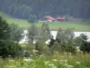 Meer van Remoray - National Nature Reserve: wilde bloemen op de voorgrond, banken, natuurlijke meer, boerderij, bomen en grasland