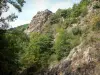 Rentières谷 - Couze d'Ardes的山谷：岩石和树木;在Auvergne火山区域自然公园