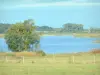 Réserve Naturelle Régionale de Lachaussée - Vue sur l'étang de Lachaussée et ses abords préservés