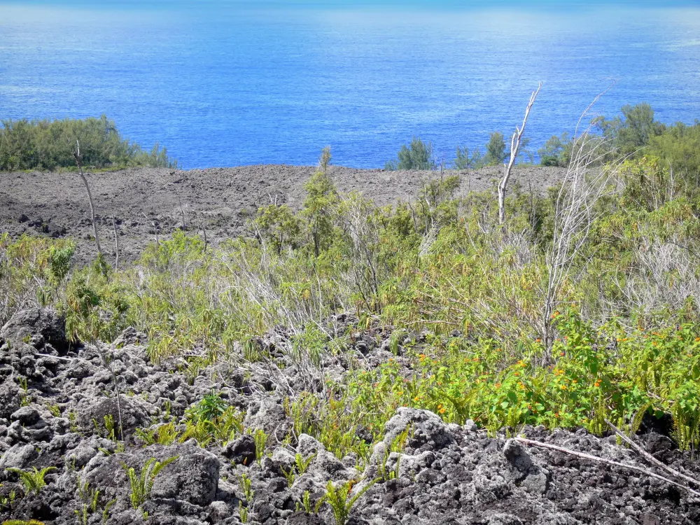 Guide of the Réunion - Landscapes of Réunion - Lava road - National Réunion Park: volcanic flow overlooking the Indian Ocean