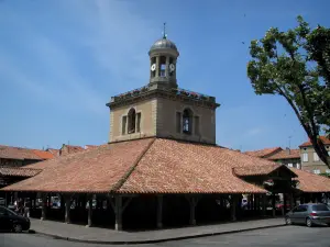 Revel - Medieval fortified town: covered market hall topped by a bell tower and houses of the central square, in the Cocagne land