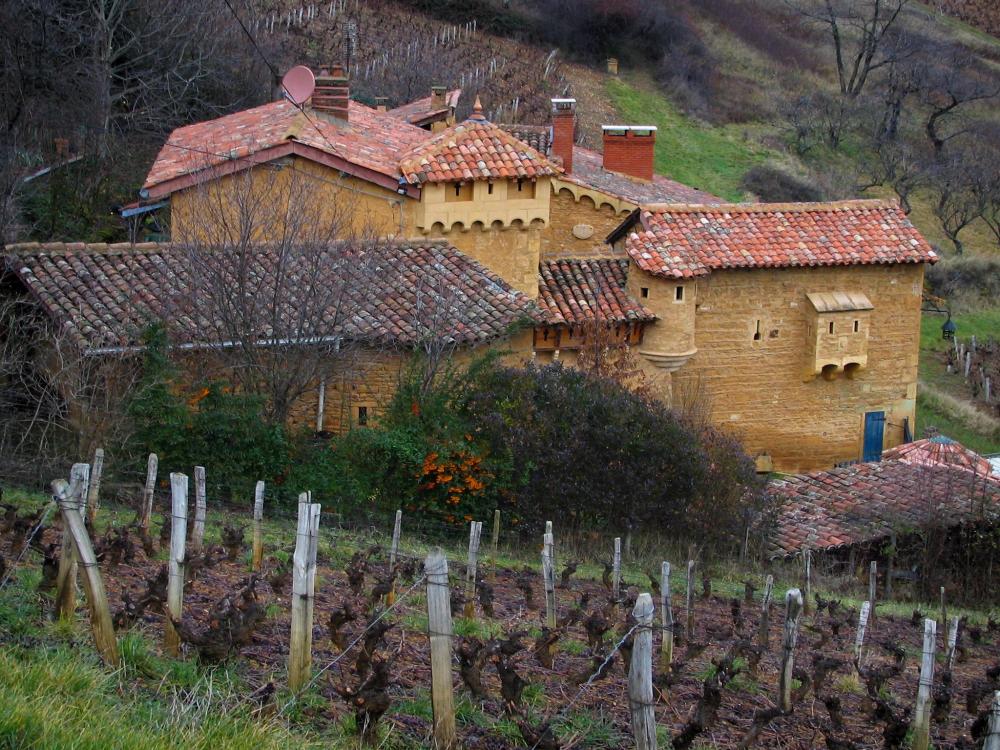Guide du Rhône - Pays des Pierres Dorées - Vignes en premier plan (vignoble du Beaujolais) et demeure en pierre