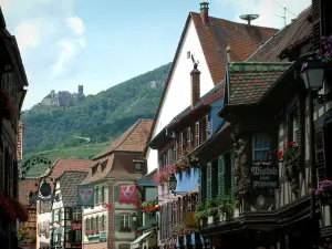 Ribeauvillé - Schloß Saint-Ulrich überragt die mit Blumen beschmückten Wohnsitze und das Haus der Ménétriers mit seinem Erker, dekoriert mit zwei Statuen