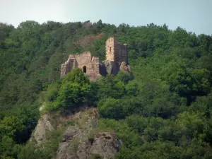 Ribeauvillé - Schloß Girsberg, umgeben mit Bäumen