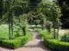 Richelieu - Park: escalando rosas (rosas) do jardim de rosas