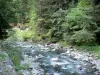 Rioumajou valley - River lined with trees