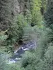 Rioumajou valley - River lined with trees