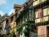 Riquewihr - Casas com fachadas coloridas (amarelo, verde, laranja, azul) e janelas decoradas com flores (gerânios)