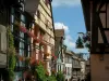 Riquewihr - Maisons colorées à colombages aux façades ornées d'enseignes et aux fenêtres décorées de fleurs (géraniums), plantes grimpantes