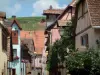 Riquewihr - Colline couverte de vignes surplombant les maisons colorées et fleuries du village