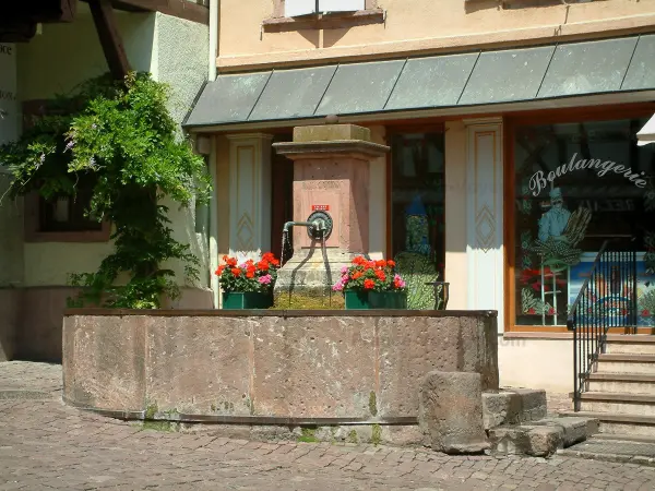 Riquewihr - Fountain versierd met bloemen (geraniums)