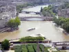 Rives de la Seine - Vue sur la pointe de l'île de la Cité, avec le Mémorial des Martyrs de la Déportation, la Seine et ses abords depuis les tours de la cathédrale Notre-Dame