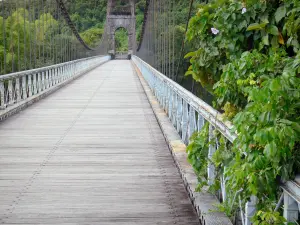 Rivière de l'Est suspension bridge - Walk on the pedestrian bridge