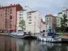 Roanne - Port de plaisance avec ses bateaux amarrés, quai, arbres et immeubles de la ville