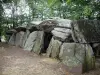 La Roche-aux-Fées - Dolmen (megalithische monument: overdekte doorgang) naar Esse