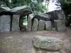 La Roche-aux-Fées - Dolmen (megalítico monumento: pasarela cubierta) para Essé