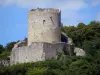 La Roche Guyón - Torre de menagem do castelo rodeada de verde; no Parque Natural Regional de French Vexin