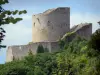 La Roche-Guyon - Donjon du château entouré de verdure