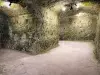 La Roche-Guyon castle - Underground dug in the rock