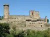 Rochebaron Castle - Tourism, holidays & weekends guide in the Haute-Loire