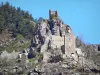 Rochebonne castle - Remains of the castle