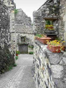 Rochemaure - Ruelle bordée de maisons en pierre