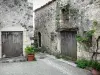 Rochemaure - Façades de pierres du village
