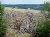 Rock von Ronesque - Basalttisch von Ronesque mit Blick auf die umliegende grüne Landschaft