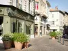 Romans-sur-Isère - Winkels in de oude stad