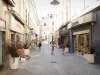 Romans-sur-Isère - Voetgangers- en winkelstraat omzoomd met winkels