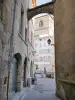 Romans-sur-Isère - Gevels van de oude stad en klokkentoren van de collegiale kerk Saint-Barnard