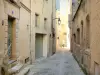 Romans-sur-Isère - Ruelle pavée bordée de maisons