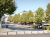 Romans-sur-Isère - Place Ernest Gailly omzoomd met bomen en terrassen van restaurants