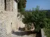 La Roque-sur-Cèze - Façade d'une maison en pierre et arbres
