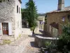 La Roque-sur-Cèze - Gepflasterte abfallende Gasse gesäumt von Steinhäusern