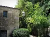La Roque-Gageac - Façade d'une maison, lampadaire et végétation tropicale, dans la vallée de la Dordogne, en Périgord