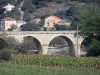 Roquebrun - Ponte sobre o rio Orbe, vinha, casas e árvores (Orb Valley), no Parque Natural Regional de Haut-Languedoc