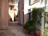 Roquebrune-Cap-Martin - Gasse und ihre mit Pflanzen geschmückten Wohnsitze