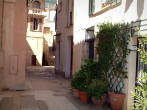 Roquebrune-Cap-Martin - Alley y sus mansiones adornadas con plantas