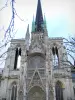 Rouen - Façade et flèche de la cathédrale Notre-Dame de style gothique, branches d'arbres