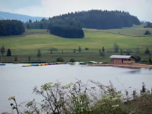 Les Rousses - Les Rousses lake: wild plants in foreground, lake, meadows (alpine pastures) and spruces (trees); in the Upper Jura Regional Nature Park