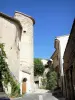 Rousset-les-Vignes - Façades du village provençal