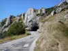 Route du col de la Bataille - Parc Naturel Régional du Vercors : route bordée de végétation et tunnel du col de la Bataille