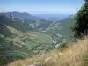 Route du col de la Bataille - Parc Naturel Régional du Vercors : panorama depuis la route du col