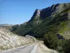 Route du col de la Bataille - Parc Naturel Régional du Vercors : route bordée d'arbres et de montagnes