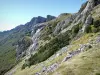 Route du col de la Bataille - Parc Naturel Régional du Vercors : vue sur les montagne recouvertes de verdure