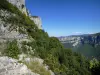 Route van Combe Laval - Regionaal Natuurpark van Vercors: uitzicht op het keteldal vanaf de toeristische route Combe Laval