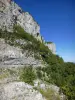 Route van Combe Laval - Regionaal Natuurpark van Vercors: rotswanden met uitzicht op de weg van Combe Laval