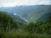 Route des Crêtes - Herbage et arbres dominant un lac et des montagnes couvertes de forêts (Parc Naturel Régional des Ballons des Vosges)